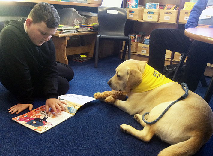 Ilsham Academy pupils boost their reading ability with therapy dogs